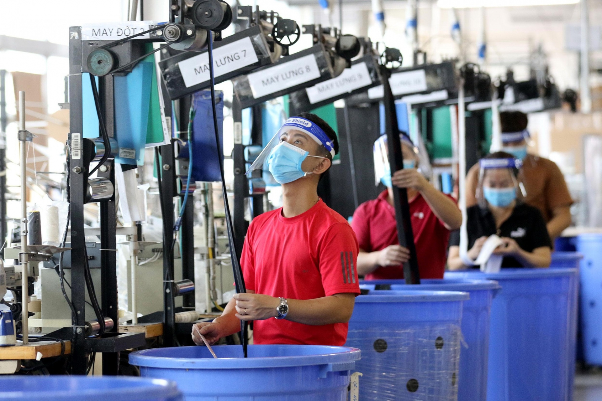 “Sống chung với dịch bệnh” “Sống chung với dịch bệnh”