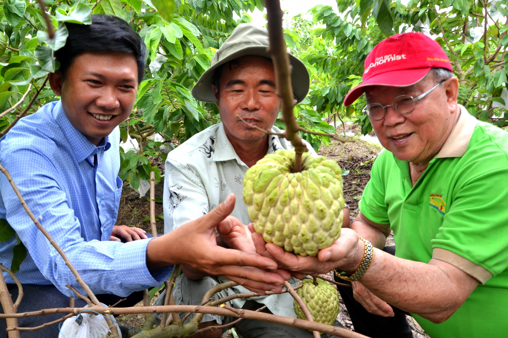 Đồng bằng sông Cửu Long: Từ trồng lúa bằng mọi giá đến nuôi trồng thông minh