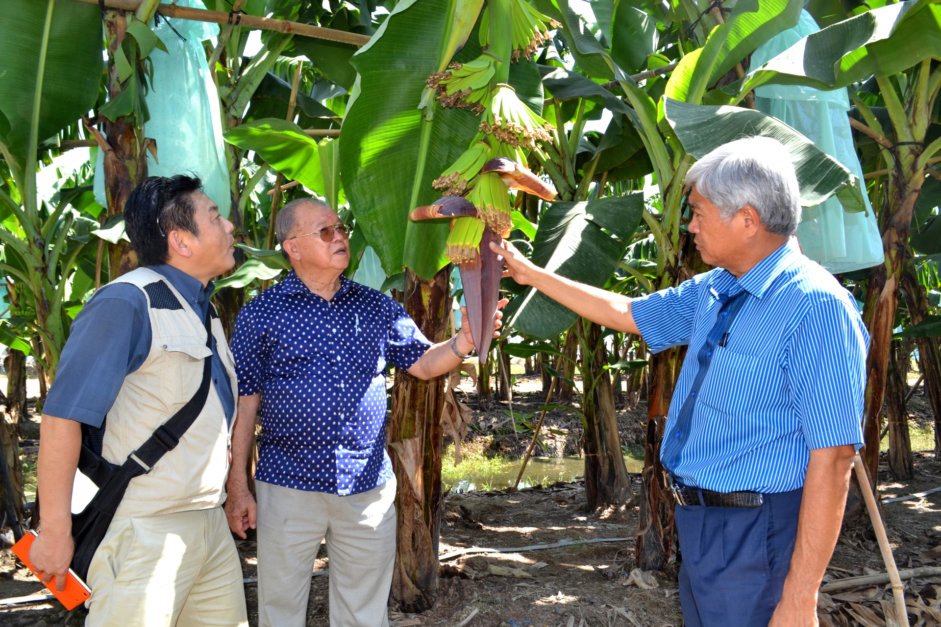 Đồng bằng sông Cửu Long: Từ trồng lúa bằng mọi giá đến nuôi trồng thông minh