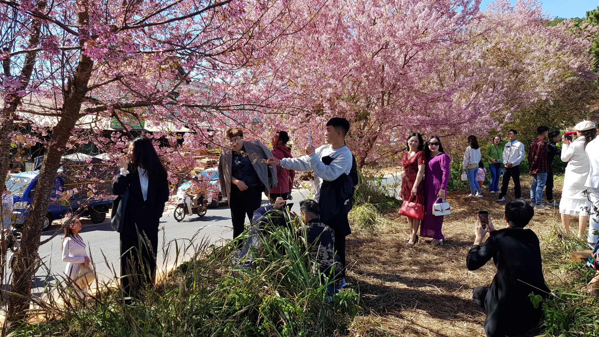 Tìm vàng trong nắng gió