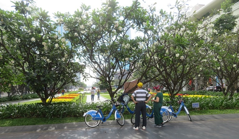 Sài Gòn vơ vẩn đạp xe… Sài Gòn vơ vẩn đạp xe…