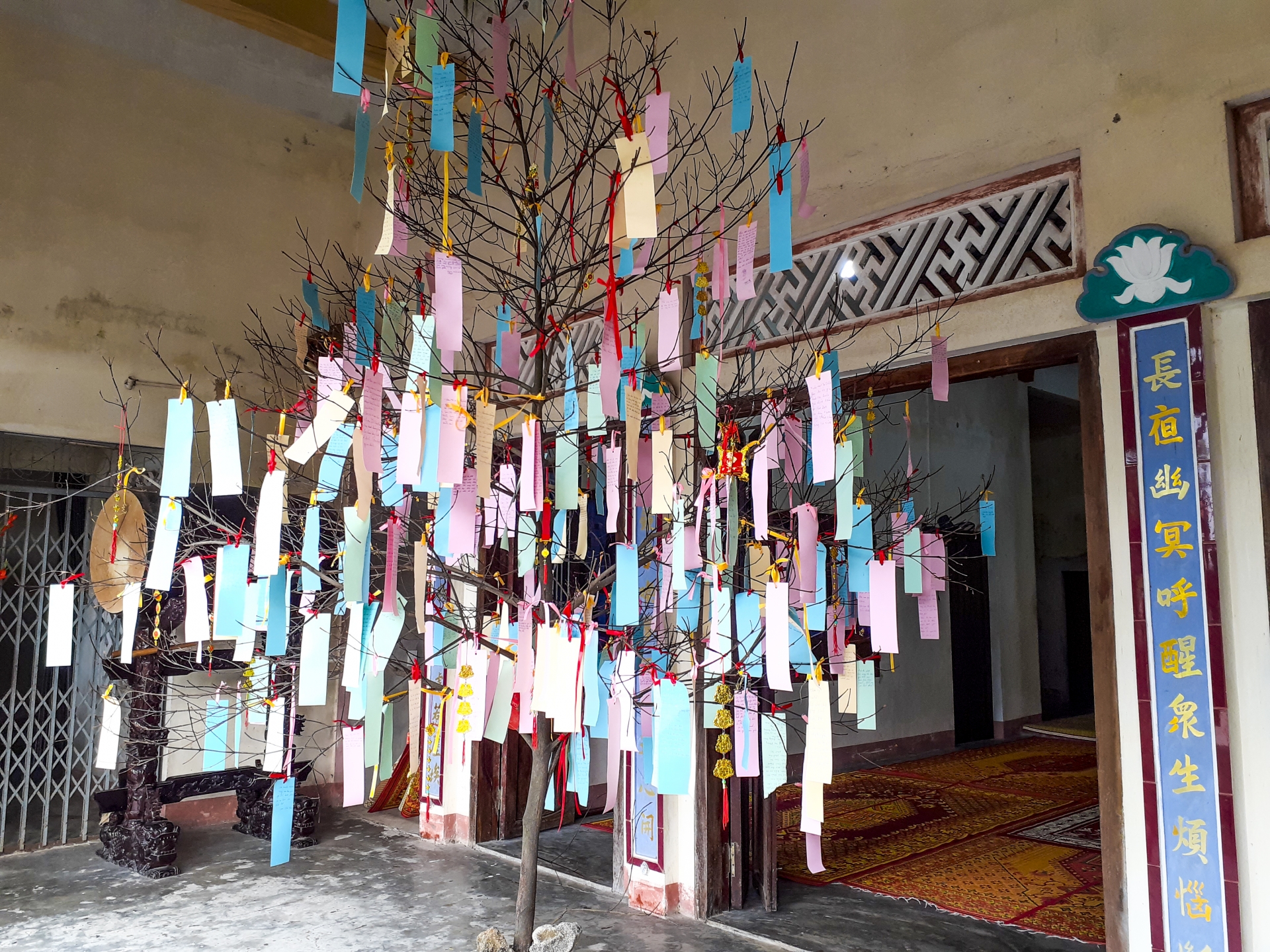 Lên chùa ăn Tết, cầu an lòng mình