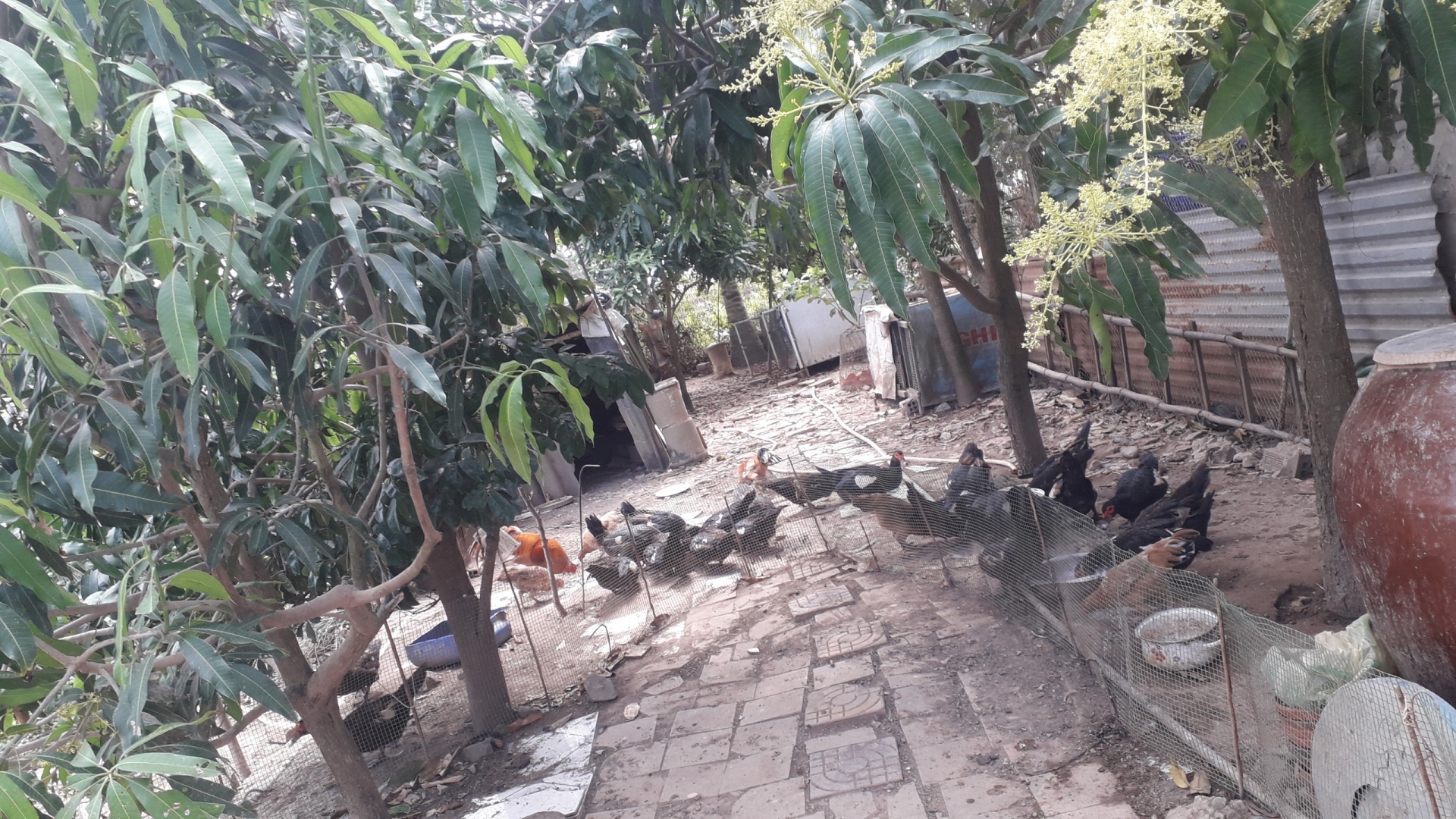 Tổ ấm yêu thương