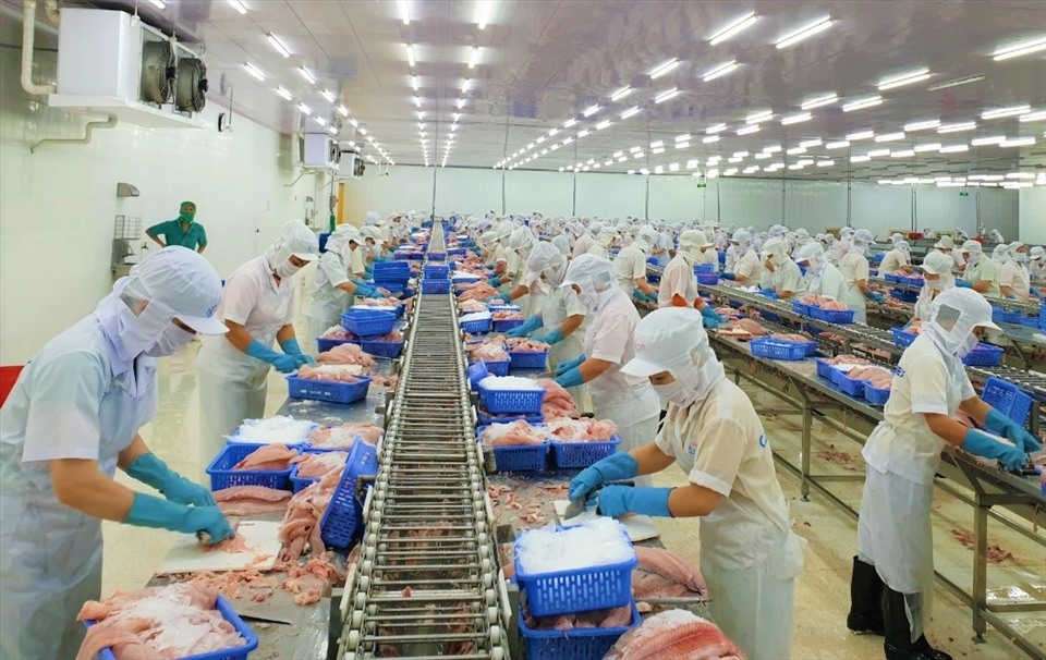 Thành phố Cần Thơ: Đề phòng dịch bệnh trong các khu công nghiệp