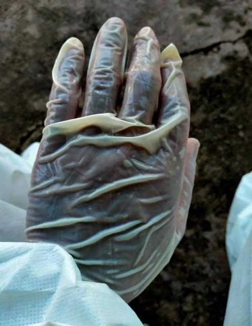 Một số vấn đề cần quan tâm về  phương tiện bảo vệ cá nhân