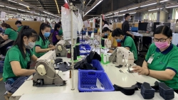 Xây dựng giai cấp công nhân, Công đoàn Việt Nam vững mạnh