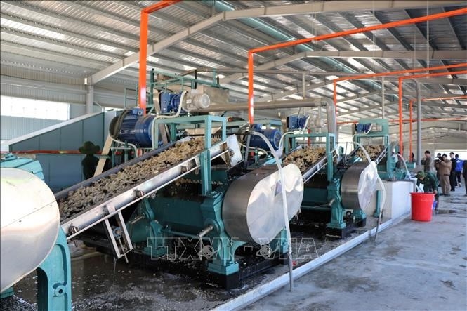 Xây dựng hệ thống quản lý an toàn, vệ sinh lao động cho ngành chế biển mủ cao su Xây dựng hệ thống quản lý an toàn, vệ sinh lao động cho ngành chế biển mủ cao su