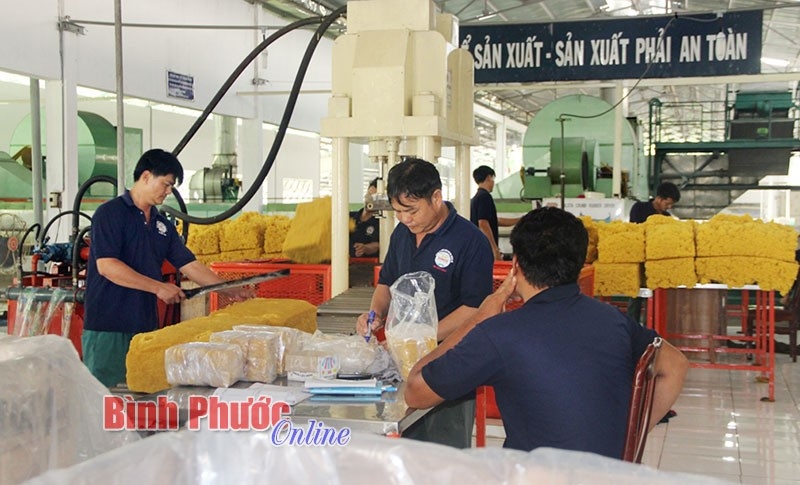 Xây dựng hệ thống quản lý an toàn, vệ sinh lao động cho ngành chế biển mủ cao su Xây dựng hệ thống quản lý an toàn, vệ sinh lao động cho ngành chế biển mủ cao su