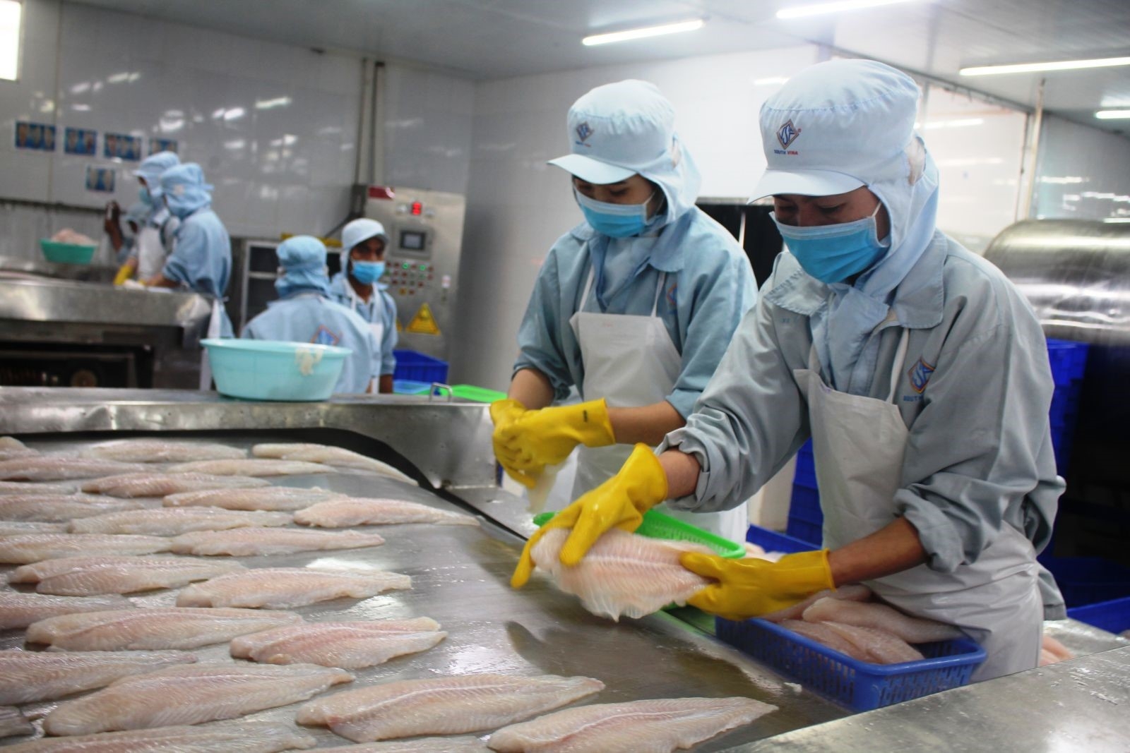 Những vấn đề cần quan tâm khi thực hiện các cam kết về lao động, công đoàn