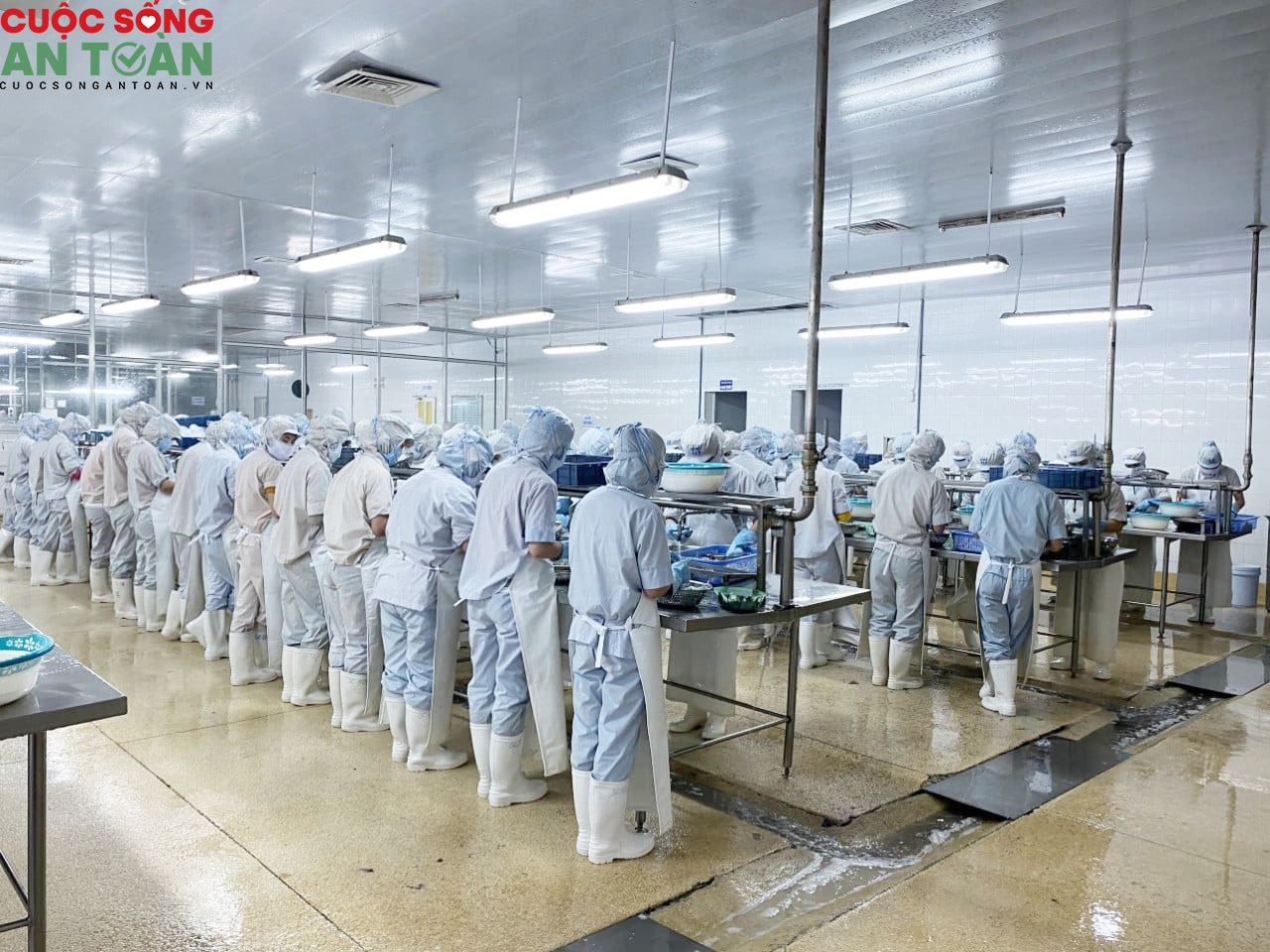 Nghệ An, Hà Tĩnh: 98% công nhân lao động tại các khu kinh tế đi làm trở lại Nghệ An, Hà Tĩnh: 98% công nhân lao động tại các khu kinh tế đi làm trở lại