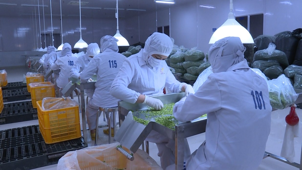 Lâm Đồng: Chính quyền, công đoàn đồng hành với doanh nghiệp tuyển dụng lao động