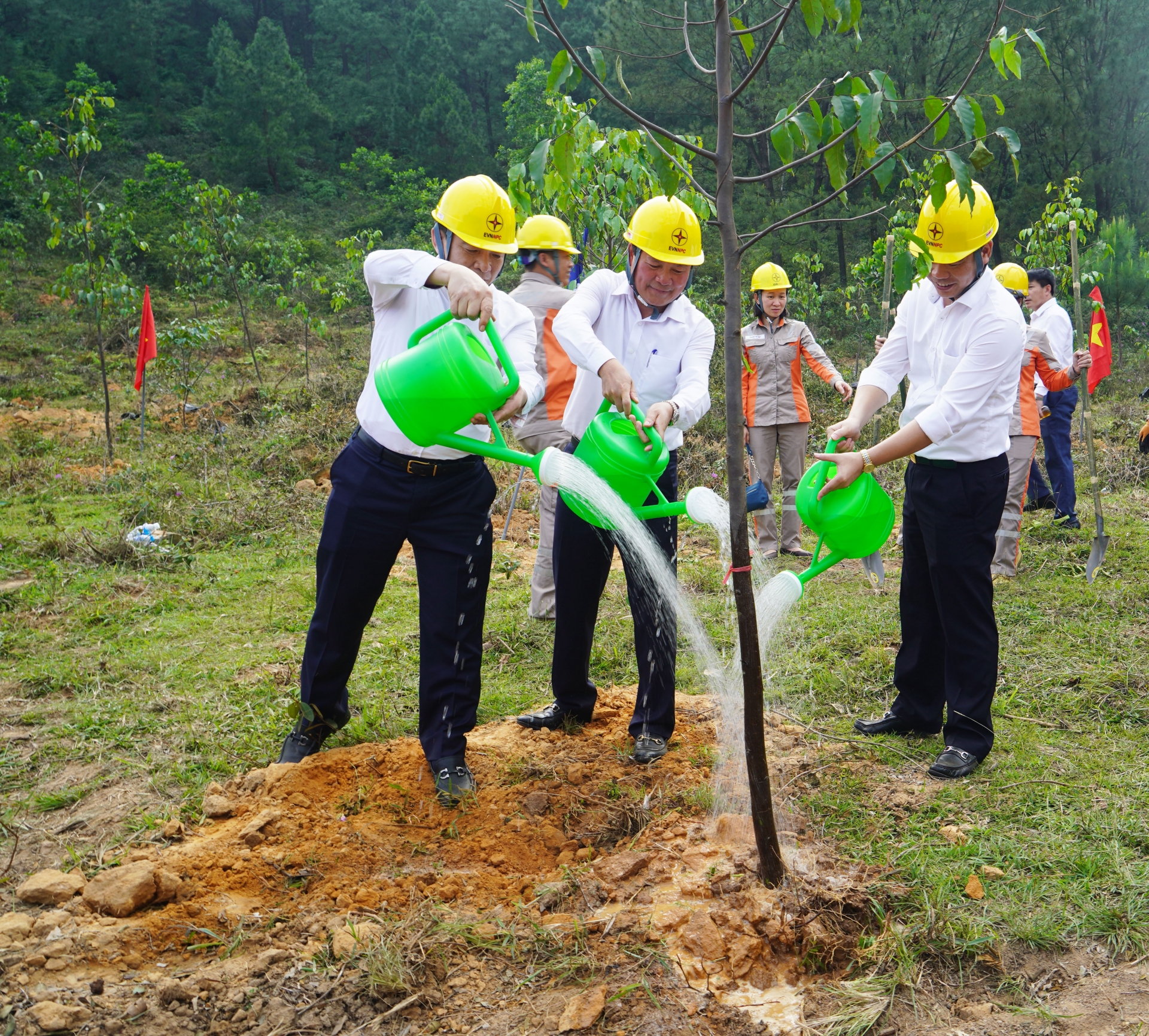 EVN NPC phát động chương trình “Vì một Việt Nam xanh” tại Hà Tĩnh, Nghệ An
