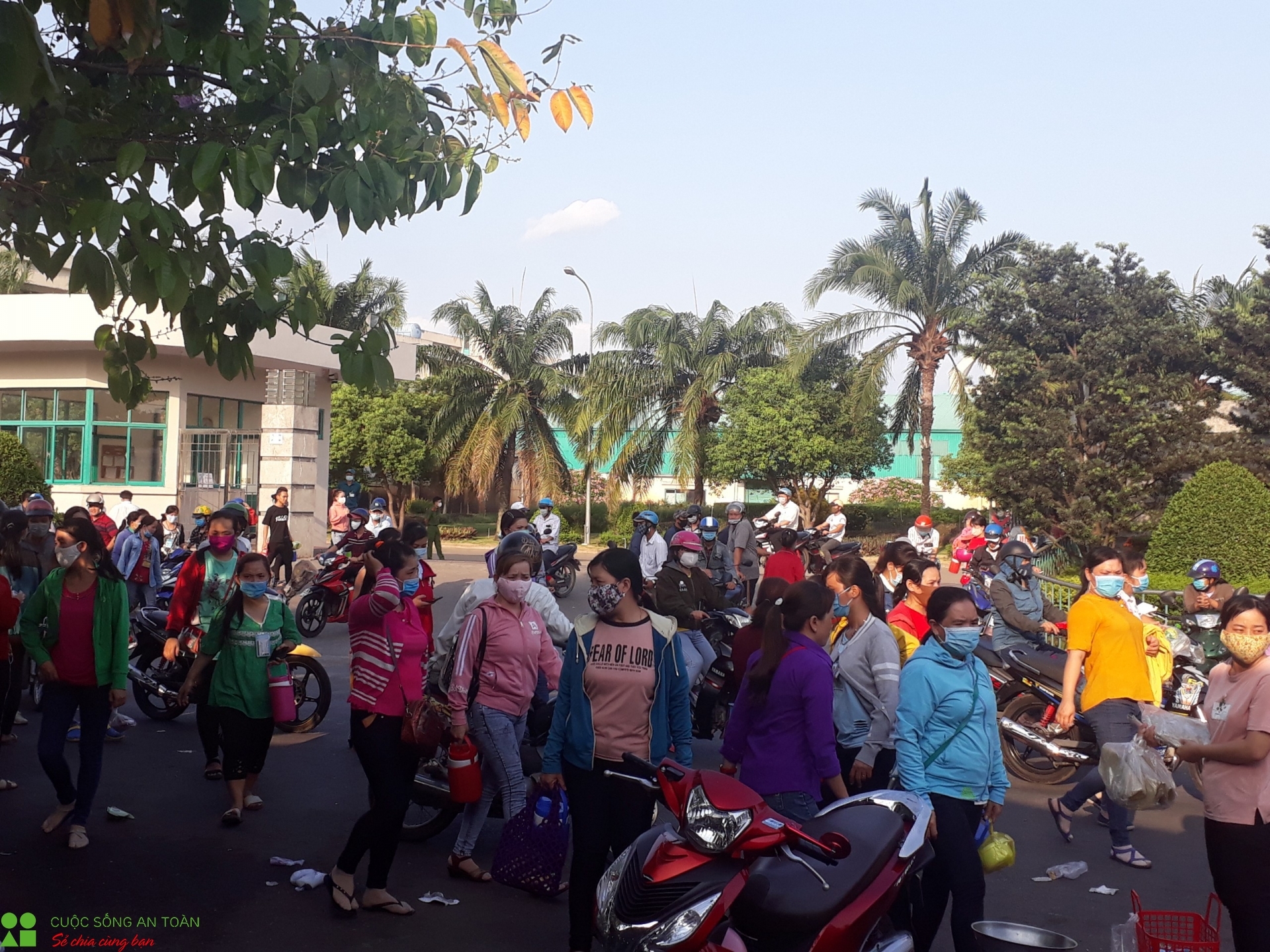 Người lao động phải làm gì khi công ty không trả lương? Người lao động phải làm gì khi công ty không trả lương?