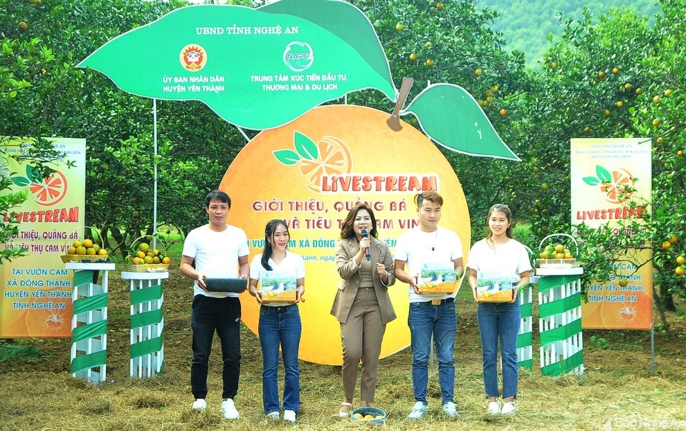 Nghệ An tổ chức livestream giới thiệu, quảng bá sản phẩm cam Vinh