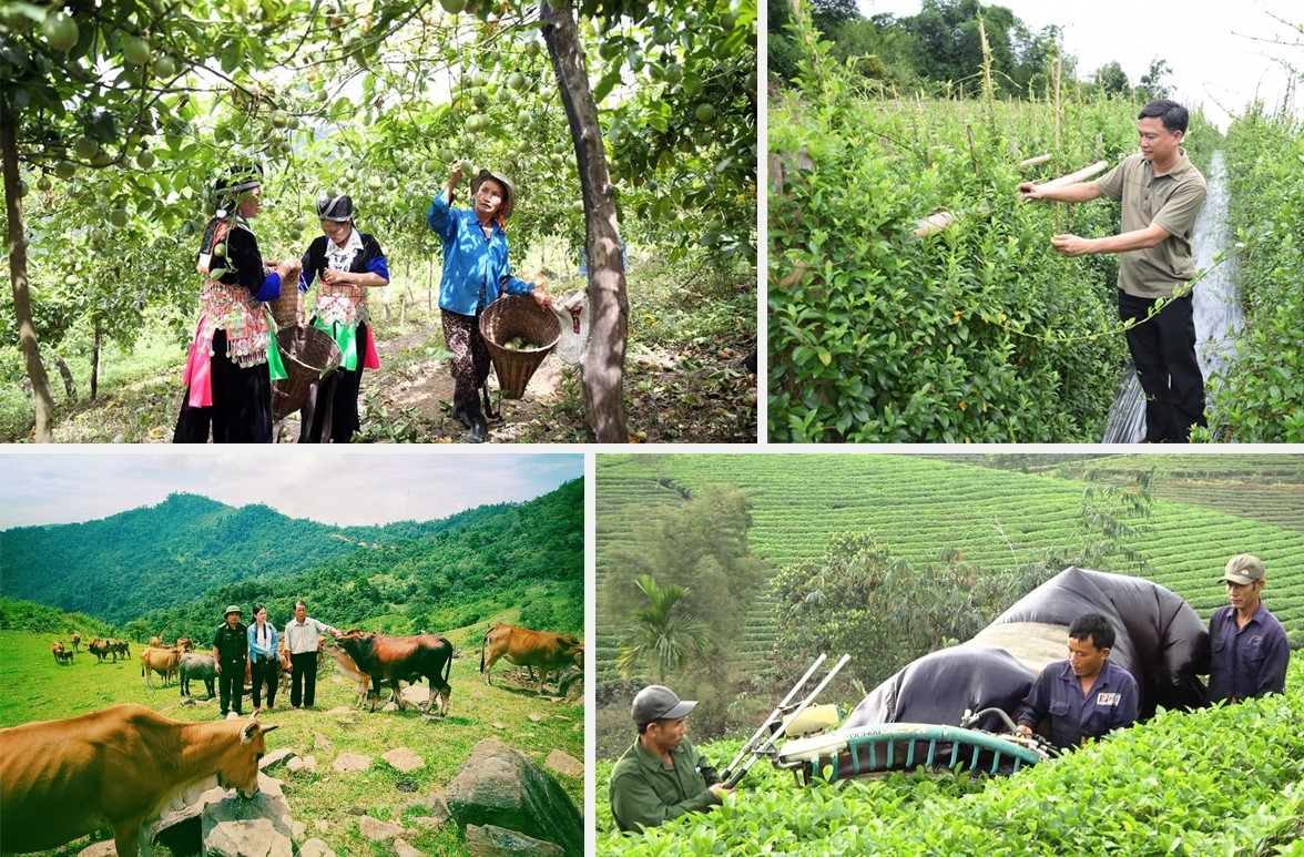 Nghệ An: Chung tay giúp đỡ các xã nghèo miền Tây xóa đói giảm nghèo Nghệ An: Chung tay giúp đỡ các xã nghèo miền Tây xóa đói giảm nghèo