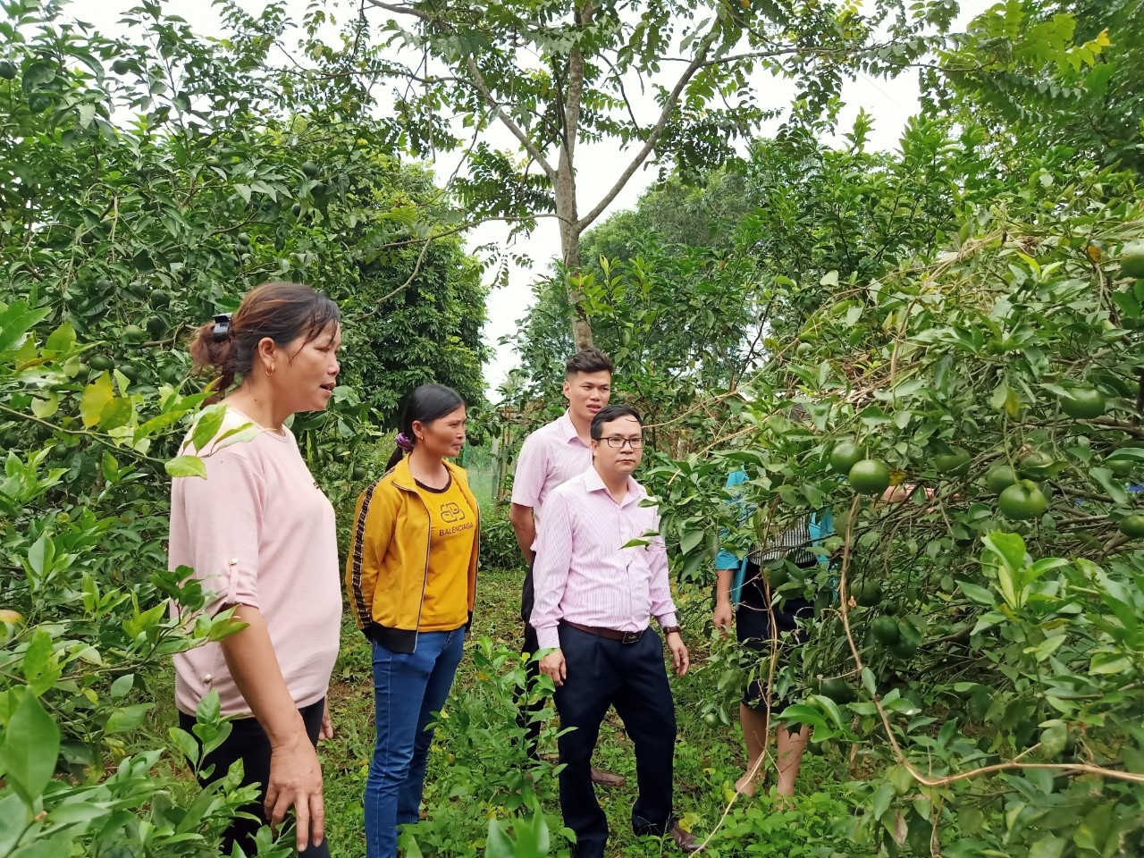 Ngân hàng CSXH tỉnh Nghệ An hoàn thành vượt mức kế hoạch năm 2020 Ngân hàng CSXH tỉnh Nghệ An hoàn thành vượt mức kế hoạch năm 2020