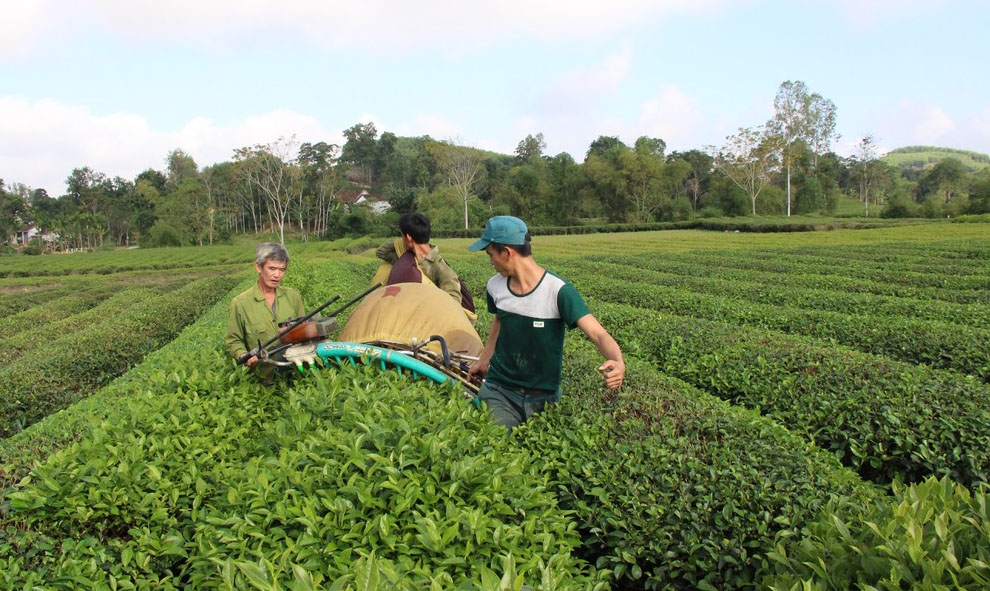 Tổng nguồn lực huy động thực hiện chương trình giảm nghèo đạt 3.406.764 triệu đồng trong năm 2020