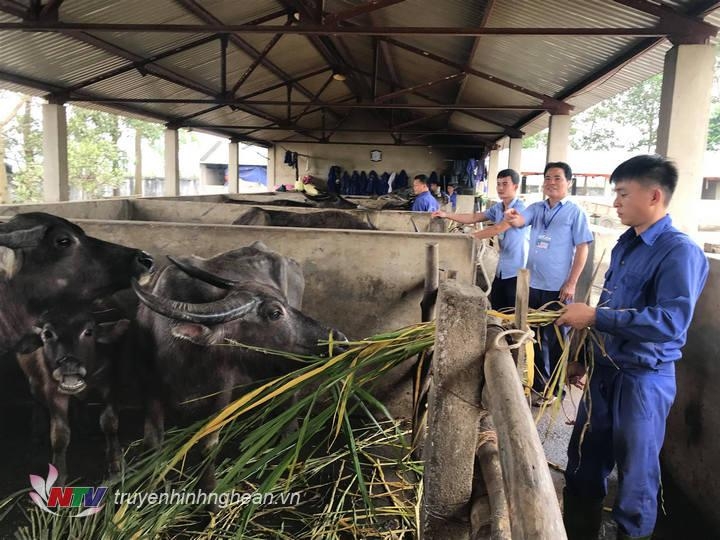 "Tín dụng đỏ" - Mô hình hay cần phát huy và đầu tư tin dung do mo hinh hay can phat huy va dau tu