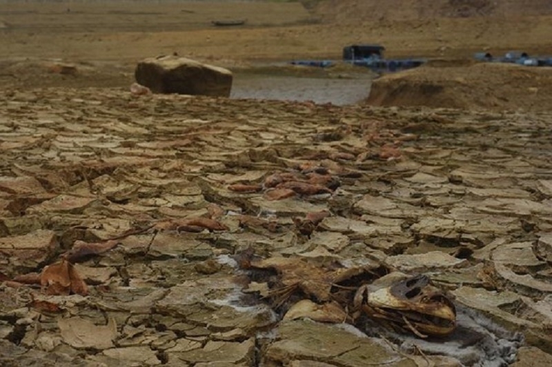 Tuần tới tiếp tục mưa dông cả nước, Biển Đông có thể xuất hiện thêm áp thấp nhiệt đới tuan toi tiep tuc mua dong ca nuoc bien dong co the xuat hien them ap thap nhiet doi