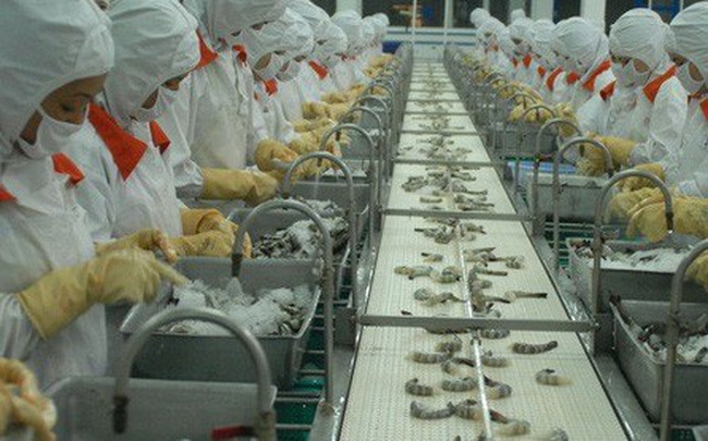 Thuế 0% - cơ hội hàng loạt doanh nghiệp xuất khẩu tôm Việt Nam vào Mỹ thue 0 co hoi hang loat doanh nghiep xuat khau tom viet nam vao my