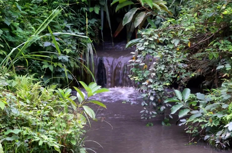 Gần 9 tấn dầu thải đổ vào nguồn nước sông Đà gan 9 tan dau thai do vao nguon nuoc song da