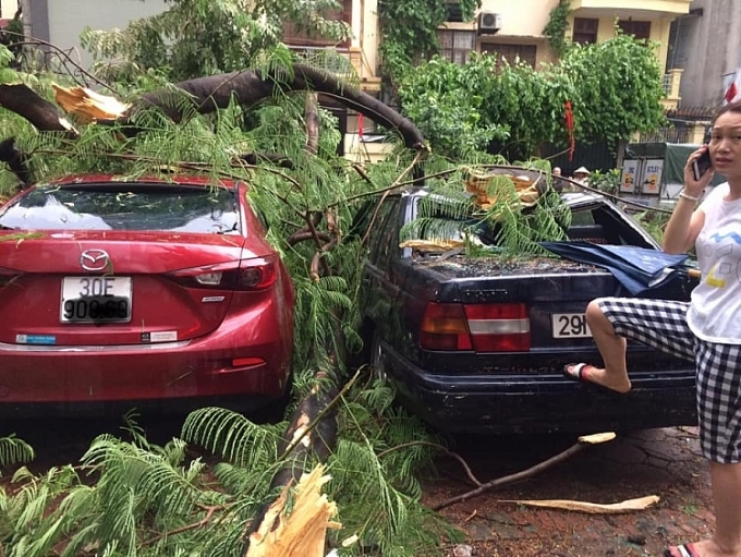 cay xanh do la liet tren cac pho ha noi sau con loc lon 1 nguoi bi cay de tu vong