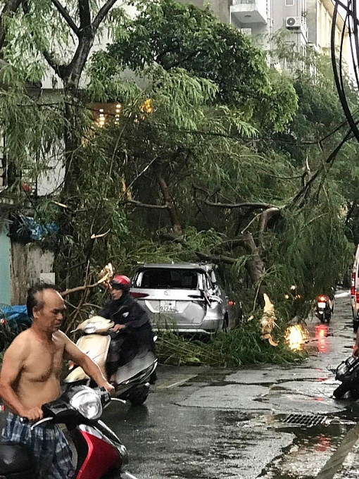 cay xanh do la liet tren cac pho ha noi sau con loc lon 1 nguoi bi cay de tu vong