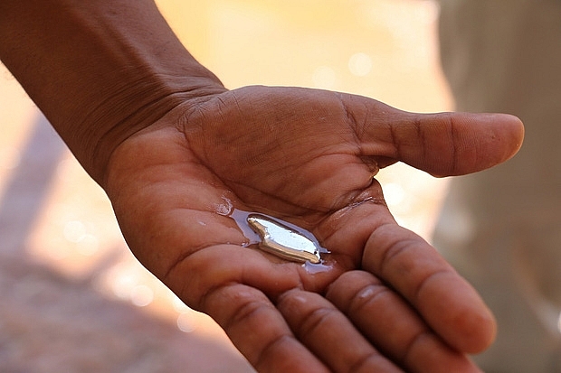 chua co khuyen cao khau trang thong thuong co the chong nhiem doc thuy ngan