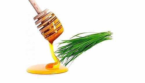 Những thực phẩm không nên kết hợp với mật ong để tránh gây hại cho sức khỏe nhung thuc pham khong nen ket hop voi mat ong de tranh gay hai cho suc khoe