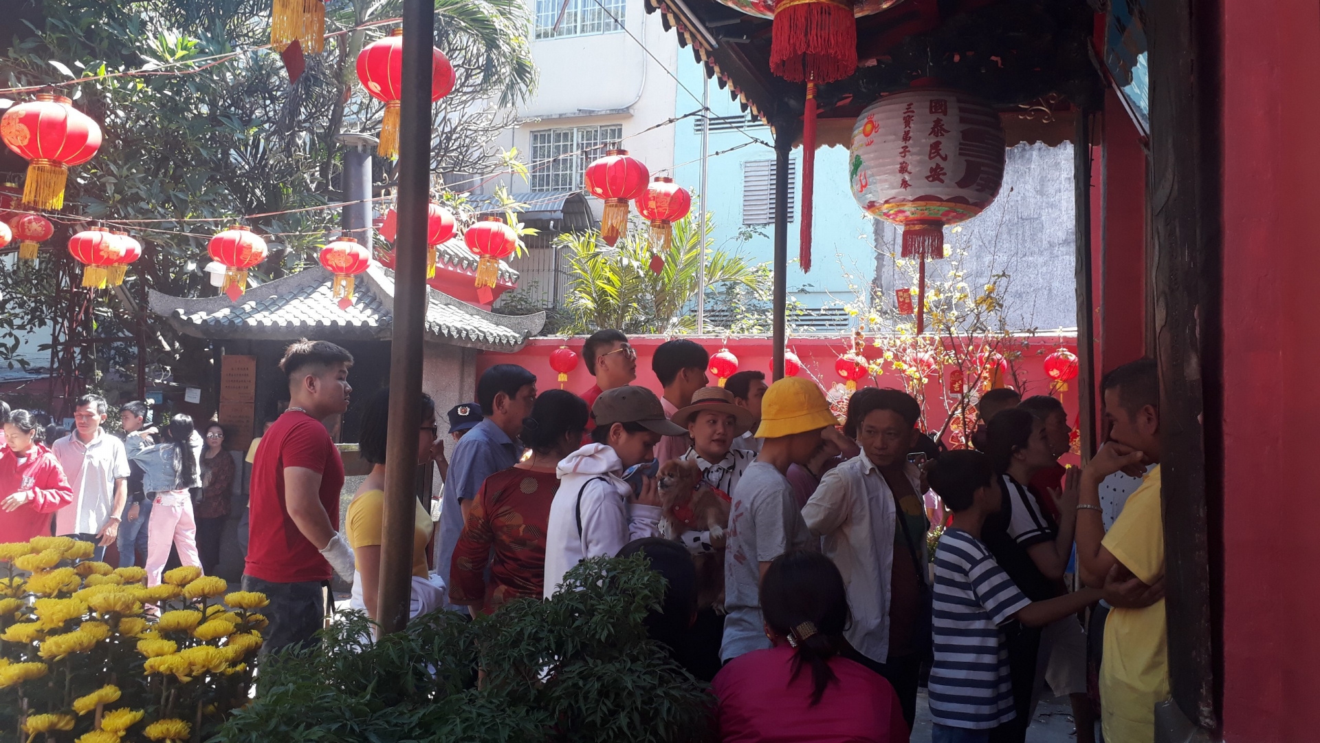 TP.HCM: Người dân nô nức đi chùa cầu may trong ngày mùng Một Tết Canh Tý tphcm nguoi dan no nuc di chua cau may trong ngay mung mot tet canh ty