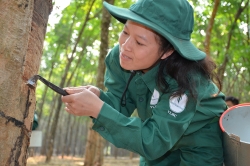 Tự hào là công nhân cao su được thể hiện qua cuốn sách “Lịch sử Cao su Việt Nam”