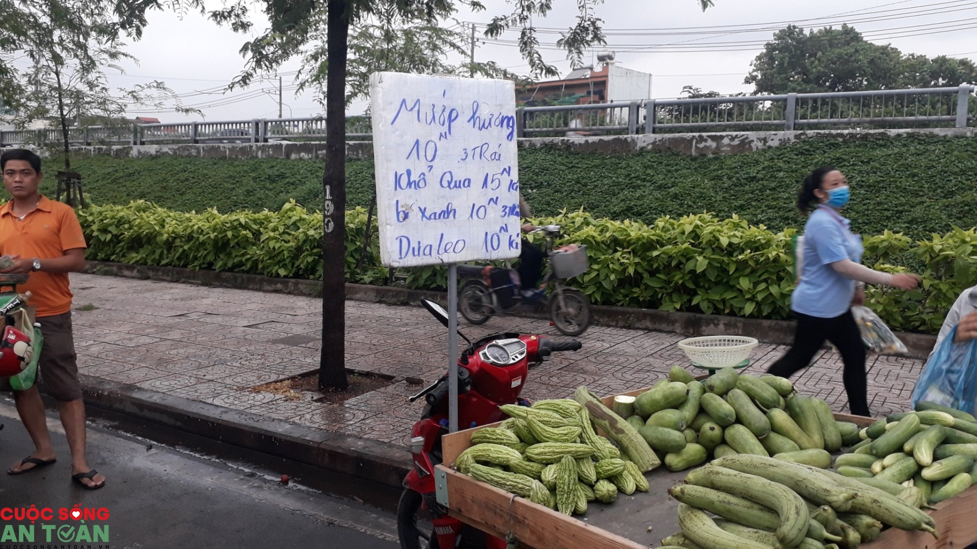 Đắn đo từng mớ rau, quả mướp, công nhân tằn tiện sống với đồng lương hạn hẹp dan do tung mo rau qua muop cong nhan tan tien song voi dong luong han hep