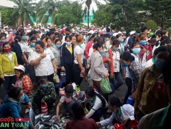 dau ca roi nhung canh en bao xuan