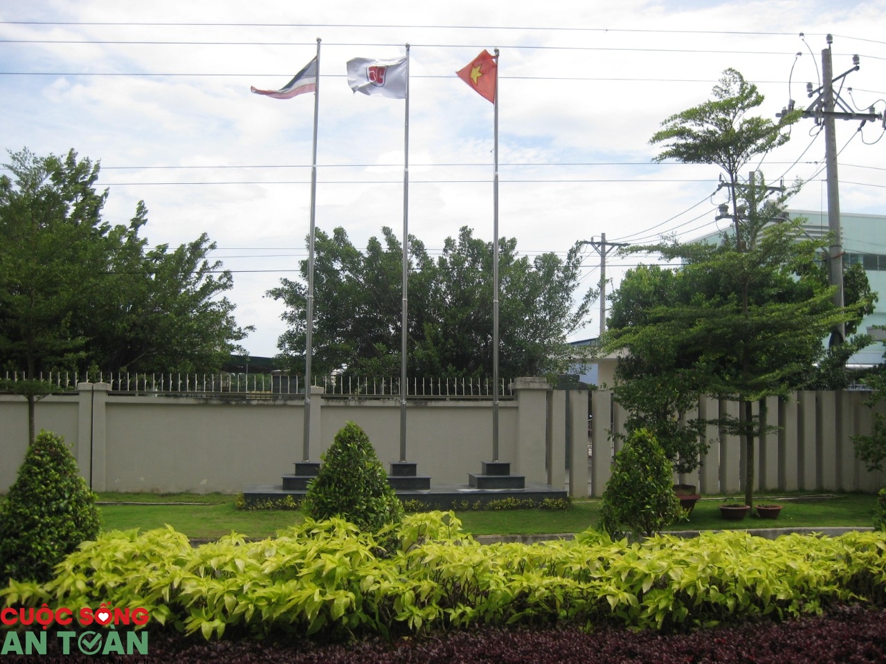 Công nhân Royal Can tích cực bảo vệ môi trường, hăng say sản xuất cong nhan royal can tich cuc bao ve moi truong hang say san xuat