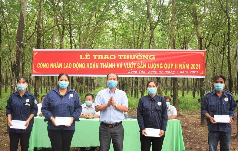 Cao su Dầu Tiếng: Thực hiện hiệu quả “mục tiêu kép” Cao su Dầu Tiếng: Thực hiện hiệu quả “mục tiêu kép”