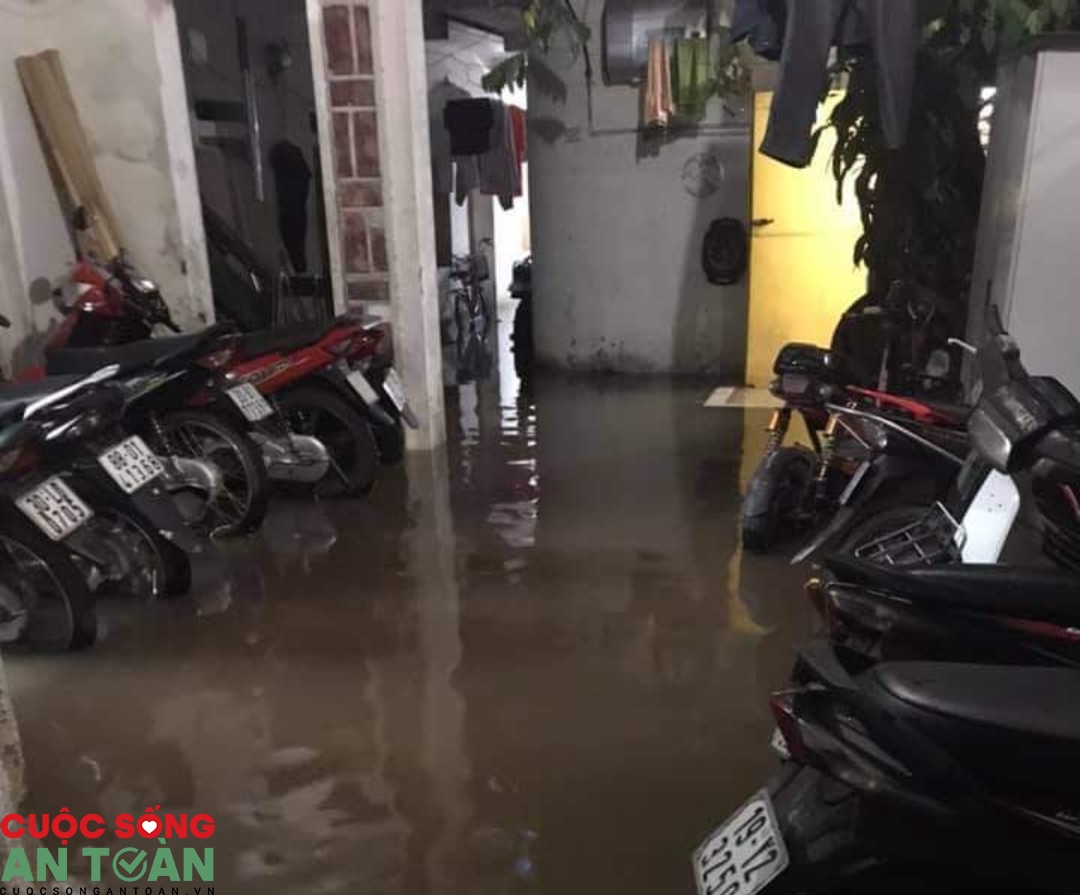 0120 z2030943097029 b716fe1a77fa513c4b9e0cd1ba53808b