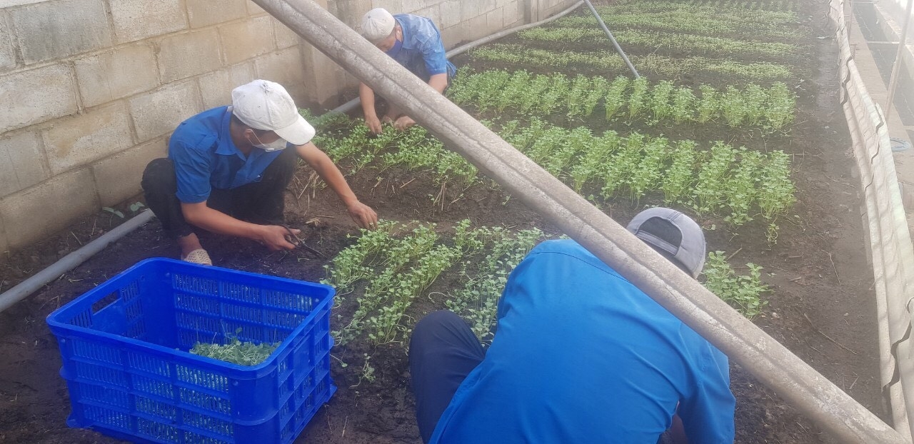 Công đoàn chăm lo cho người lao động khi thực hiện “3 tại chỗ”