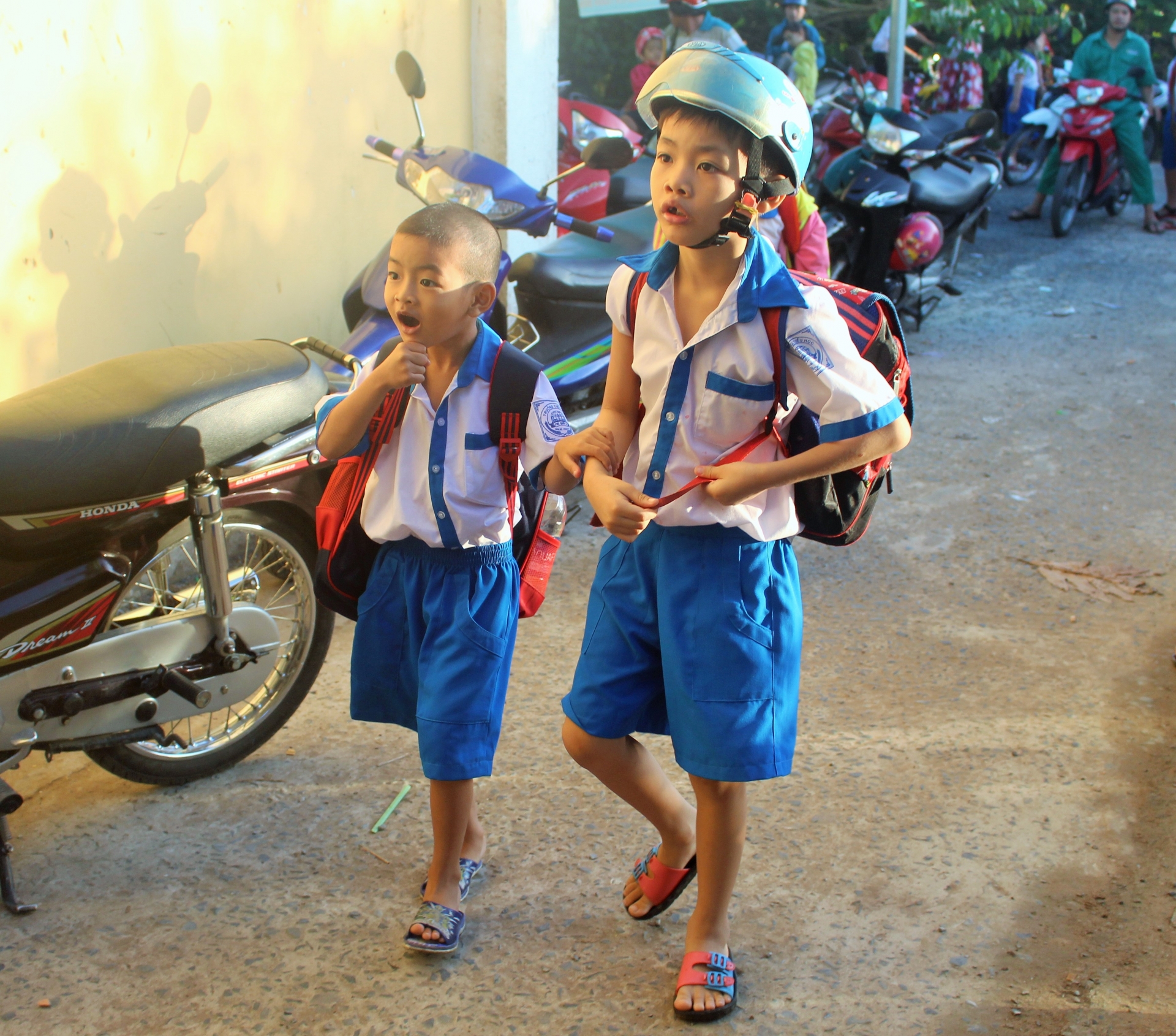 undefined 5259 hinh 1