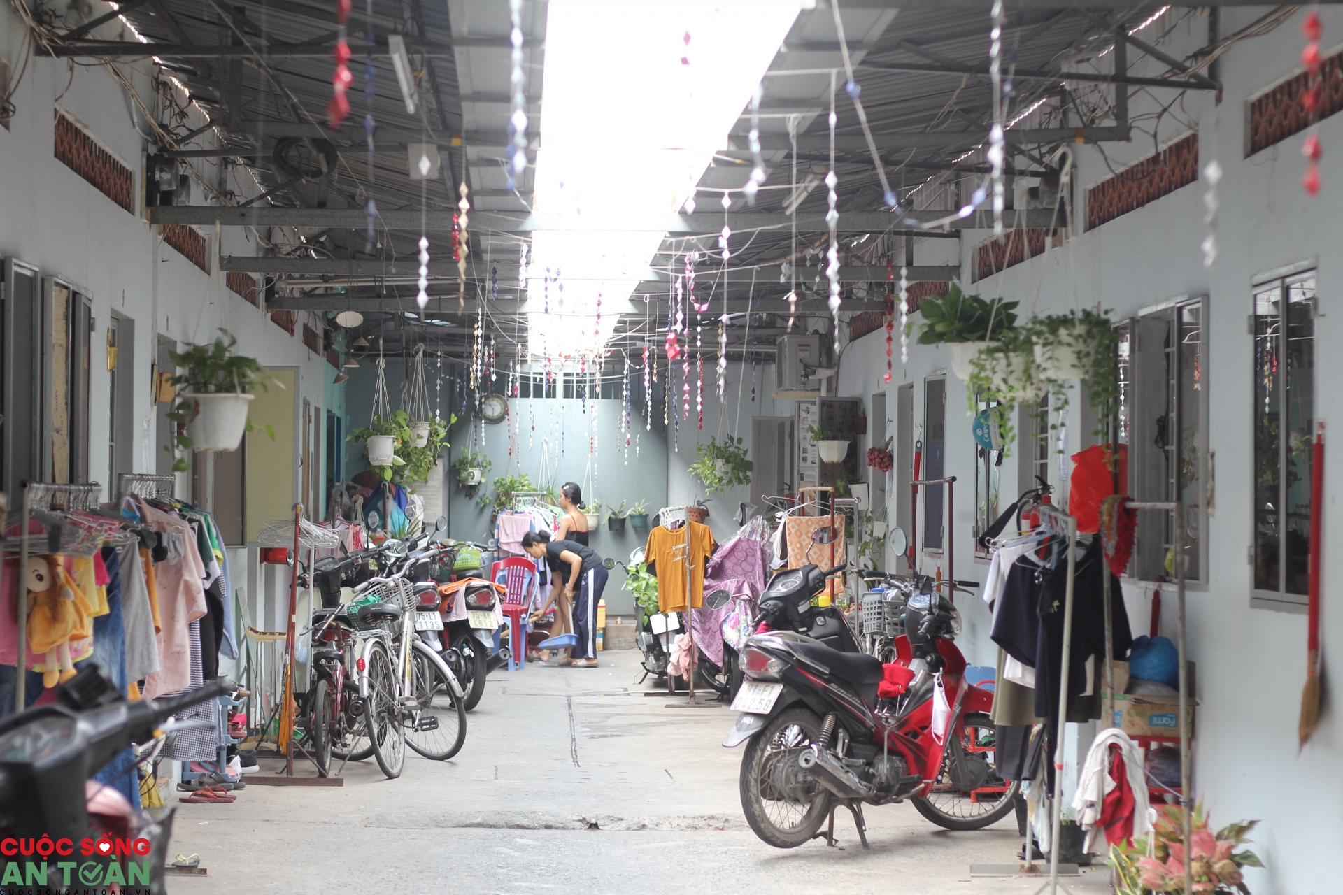 undefined 0023 img 5359