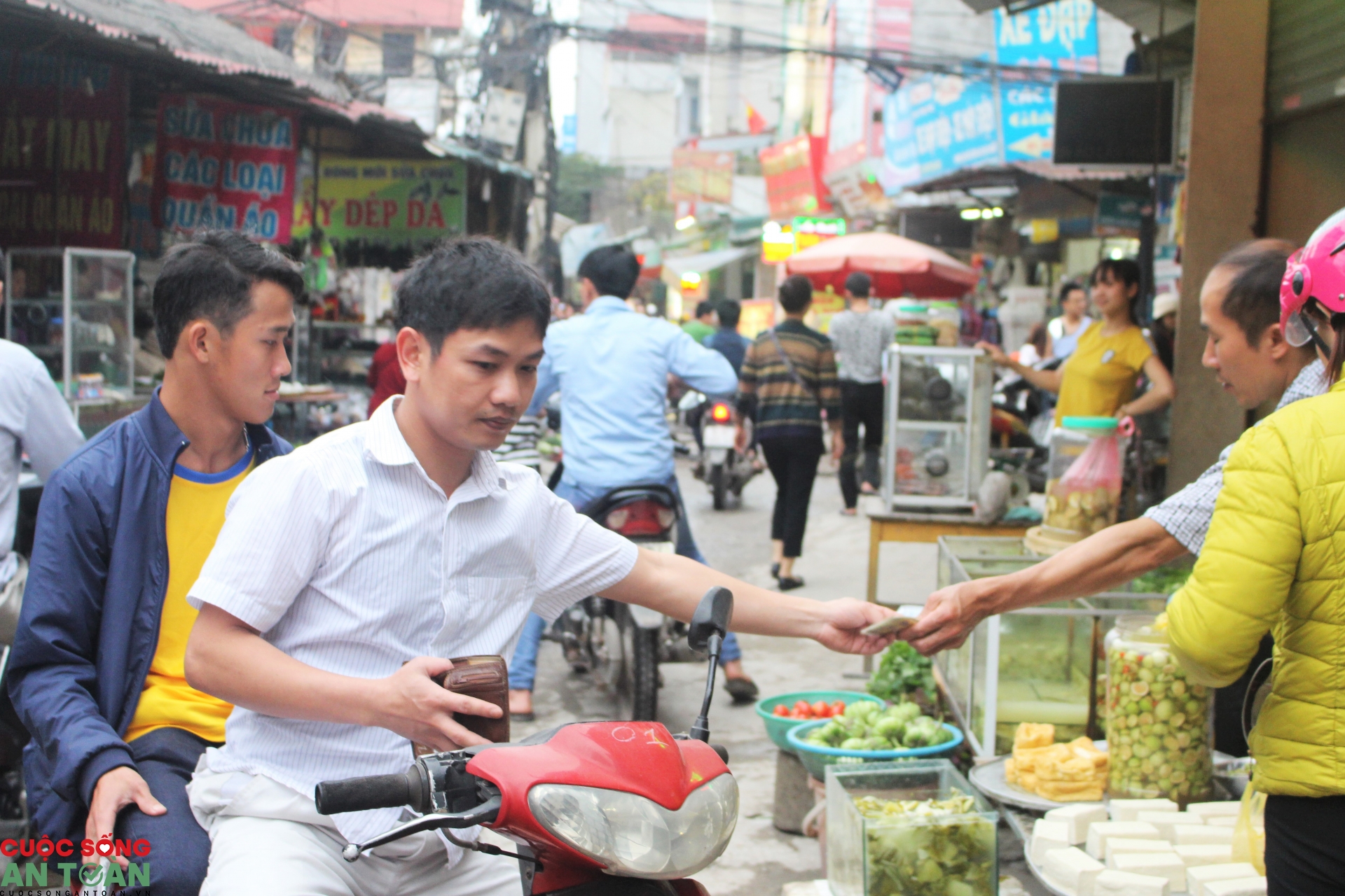 undefined 4402 hinh 1