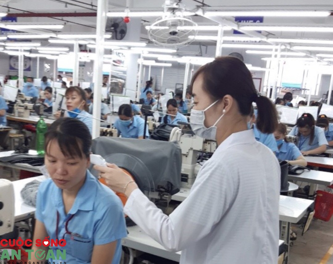 LĐLĐ Mỹ Tho đẩy mạnh hỗ trợ người lao động khó khăn, thất nghiệp trong mùa dịch LĐLĐ Mỹ Tho đẩy mạnh hỗ trợ người lao động khó khăn, thất nghiệp trong mùa dịch