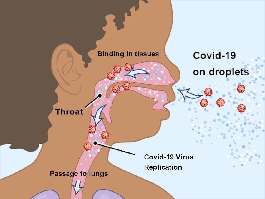 Các biện pháp phòng Covid-19 đơn giản tại nhà Các biện pháp phòng Covid-19 đơn giản tại nhà