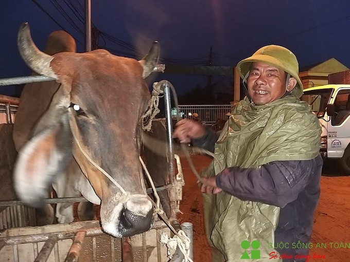 cuoi nam ghe phien cho trau bo lon nhat bac trung bo