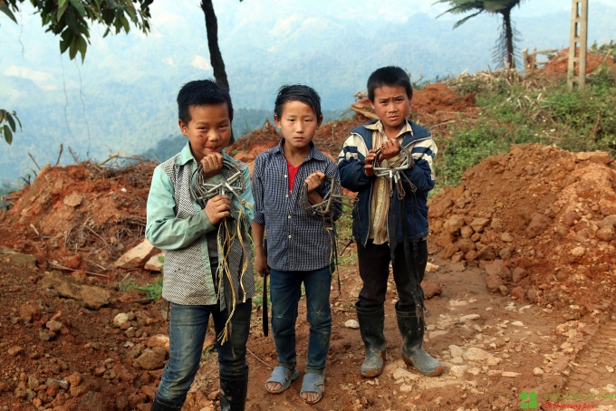 Xuân về theo chân những người dân bản địa đi săn "chuột rừng" xuan ve theo chan nhung nguoi dan ban dia di san chuot rung