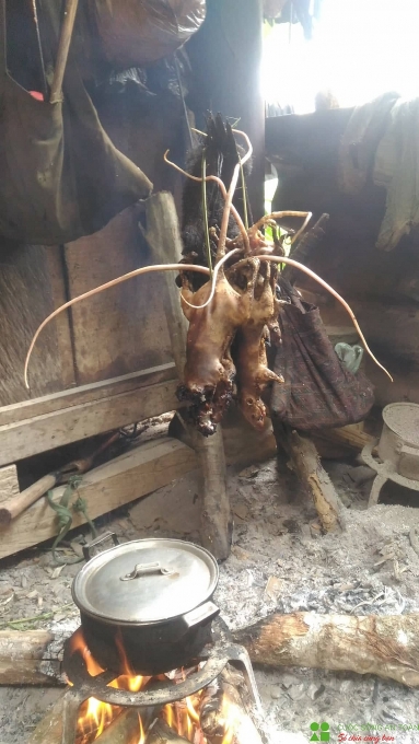 Xuân về theo chân những người dân bản địa đi săn "chuột rừng" xuan ve theo chan nhung nguoi dan ban dia di san chuot rung