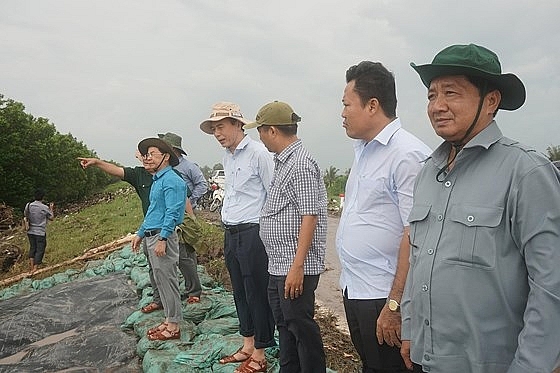 ca mau danh chim sa lan xep 10000 bao tai cat cuu de bien