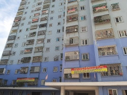 gan 100 cay go rung nguyen sinh vuon quoc gia pu mat bi don ha