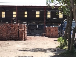 gan 100 cay go rung nguyen sinh vuon quoc gia pu mat bi don ha