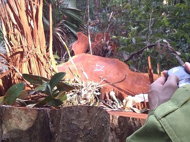 vu chat pha rung tai vuon quoc gia pu mat tam giam 3 doi tuong