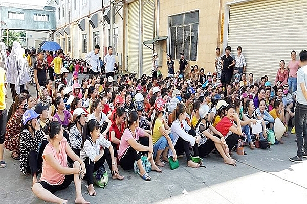 hai phong tin vui cho 2000 cong nhan bo vo vi giam doc nuoc ngoai bo tron